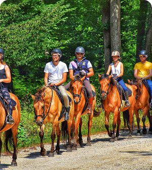 Team building à Aix en Provence